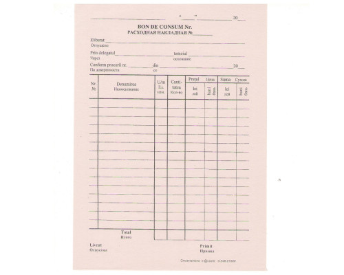 Bon de consum A5, ziar, ambalaj 200buc. E*