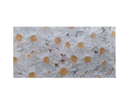 Plic felicitare pentru bani 168x84mm КВ-21-203 (10/300) Plic felicitare pentru bani 168x84mm КВ-21-203 (10/300)