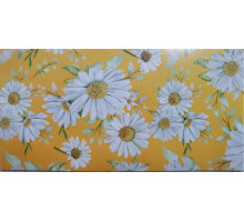 Plic felicitare pentru bani 168x84mm КВ-21-203 (10/300)