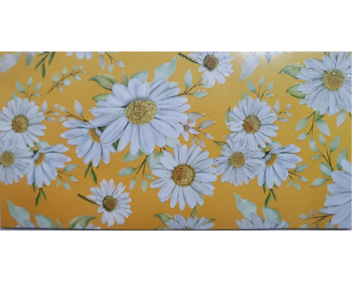 Plic felicitare pentru bani 168x84mm КВ-21-203 (10/300) Plic felicitare pentru bani 168x84mm КВ-21-203 (10/300)