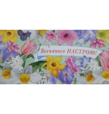 Plic felicitare pentru bani 168x84mm 8КВ 22-57 (10/300)