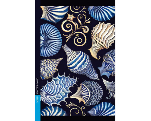 Carnet A6 (105x165mm), 48 foi, matem, laminare mata, 23162 (10) Carnet A6 (105x165mm), 48 foi, matem, laminare mata, 23162 (10)