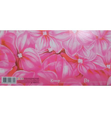 Plic felicitare pentru bani 168x84mm 8КВПК 22-23 (10/300)