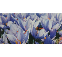 Plic felicitare pentru bani 168x84mm КВ-22-100 (10/300)