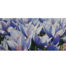Plic felicitare pentru bani 168x84mm КВ-22-100 (10/300)