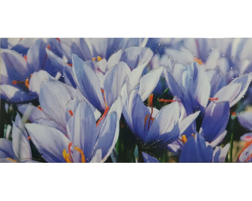 Plic felicitare pentru bani 168x84mm КВ-22-100 (10/300) Plic felicitare pentru bani 168x84mm КВ-22-100 (10/300)