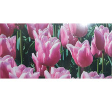 Plic felicitare pentru bani 168x84mm КВ-22-99 (10/300)