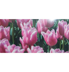 Plic felicitare pentru bani 168x84mm КВ-22-99 (10/300)