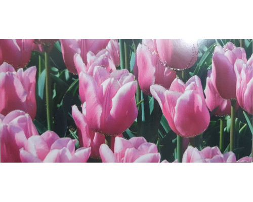 Plic felicitare pentru bani 168x84mm КВ-22-99 (10/300) Plic felicitare pentru bani 168x84mm КВ-22-99 (10/300)