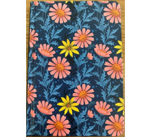 Carnet А6 64foi, matem., coperta tare N9401 (120)