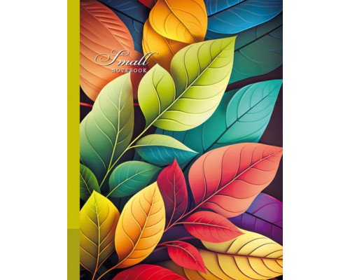 Carnet B6 (128х165mm), 48 foi, matem, coperta integrala, 23175 (10)