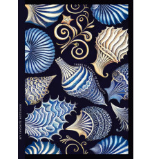 Блокнот А5 64л. клетка, интегральная обложка, 23107 (10)