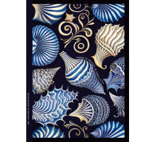 Carnet А5 64foi, matem., coperta integrala, 23107 (10)