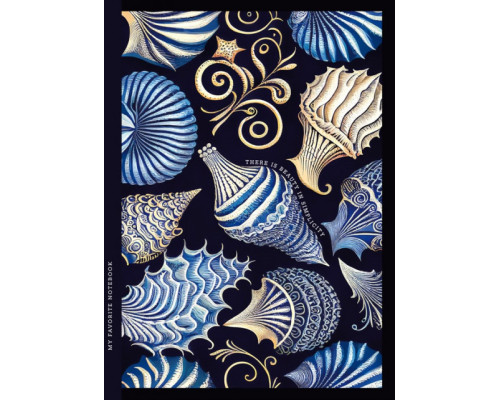 Блокнот А5 64л. клетка, интегральная обложка, 23107 (10)