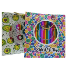 Punga p/u cadou 35x37x12 сm, FR*1500 (10)