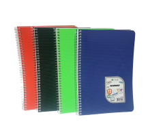 Carnet A5 96 foi, matem., spira, plastic, Gingko (6/120)