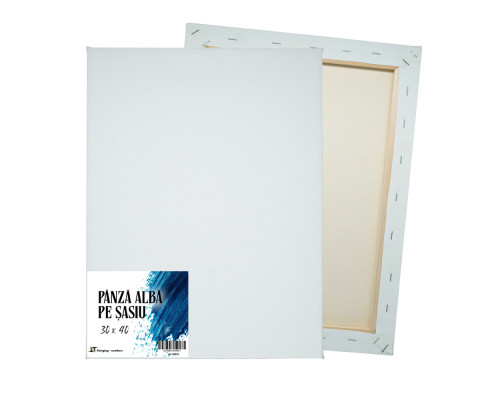 Panza alba pe sasiu 30x40 сm CM*9431