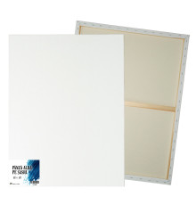 Panza alba pe sasiu 60x80 сm CM*9516