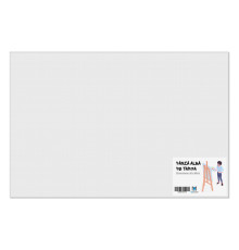 Холст белый на подрамнике 40x60 см CM*8540