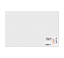 Panza alba pe sasiu 40x60 сm CM*8540