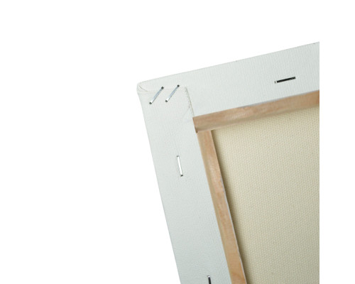 Panza alba pe sasiu 50x70 сm CM*8557