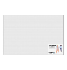 Panza alba pe sasiu 50x70 сm CM*8557