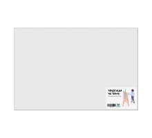 Panza alba pe sasiu 50x70 сm CM*8557
