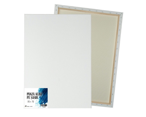 Panza alba pe sasiu 50x70 сm CM*8557
