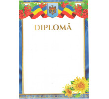 Diploma fara linii cu chenar albastru si floarea soarelui N-013 (100)