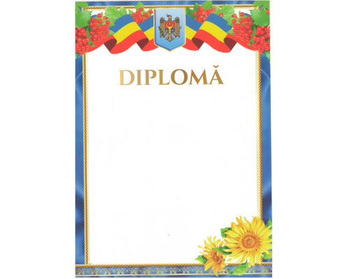 Diploma fara linii cu chenar albastru si floarea soarelui N-013 (100)