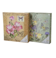 Album Foto in cutie "Postcard" 31*34cm, 500 poze 10*15сm, 2 designe