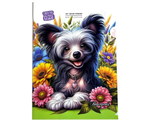 Папка-уголок, А4+, 160мкм, цветная печать, Р0214 (20)