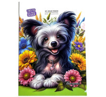 Mapa unghi А4+, 160mk, imprimare color, Р0214 (20)