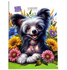 Папка-уголок, А4+, 160мкм, цветная печать, Р0214 (20)