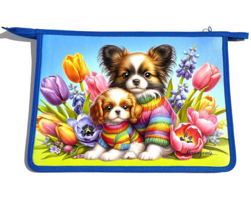 Mapa pe fermoar, A4+, 500mk, сu desen, Р0242 (5/100)