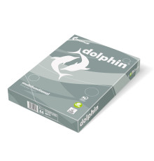 Бумага А4 DOLPHIN 80 г/м2, 500 листов, C+ (5)