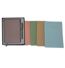 Set agenda nedatata + pix in cutie, 5 culori *4041 (40)