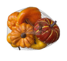 Set de dovleci decorativi „Căldura toamnei cu dovleci” 6 buc S49-6 (100)