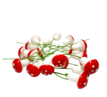 Декоративные грибы маленькие 2 см.20 шт. упаковка CM*1830