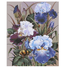 Set pictură pe numere 60*80 "Albina printre iriși" 4338