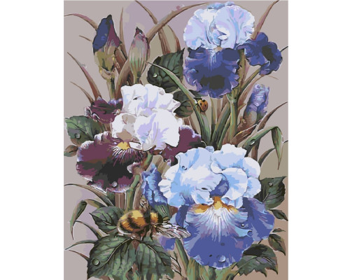 Набор для рисования по номерам 40*50 "Пчела и ирисы" ECO(без коробки) 4338