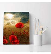 Set pictură pe numere 40*50 "Macii de câmp" ECO(fara cutie) 1294