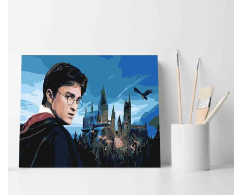 Набор для рисования по номерам 40*50 "Harry Potter" ECO(без коробки) 3371
