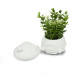 Figurina din gips borcanas cu capac "Ciuperca" 2 piese, h 9cm. CM*