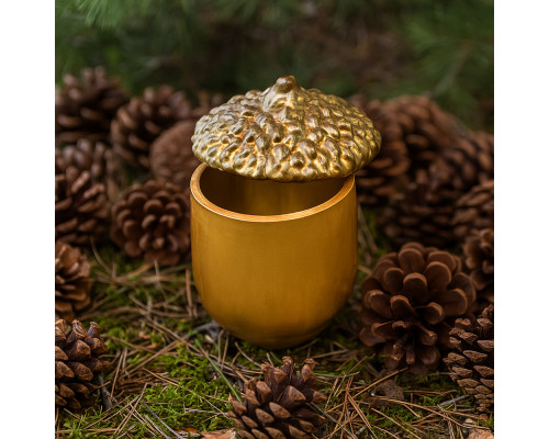 Набор для творчества с гипсовой фигуркой "Желудь" 2 детали, h 11.5cm. CM*3100