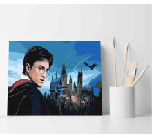 Набор для рисования по номерам 30*40 "Harry Potter" ECO(без коробки) 3371