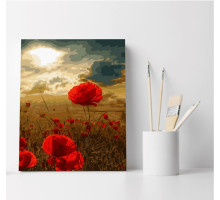 Набор для рисования по номерам 30*40 "Полевые маки" 1294