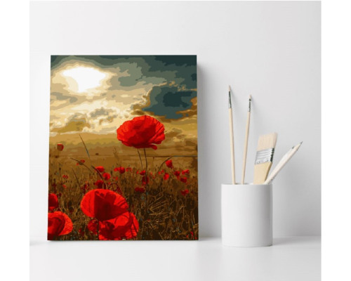 Набор для рисования по номерам 30*40 "Полевые маки" 1294