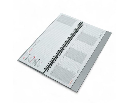 Planificator pe spirala,sur, bumvenil 2026 30*14