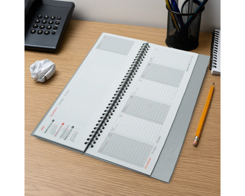 Planificator pe spirala,sur, bumvenil 2026 30*14